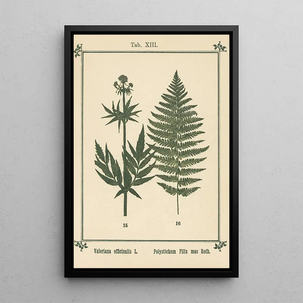 Atlas des plantes pour Ma cure d'eau Pl33 - Sebastian Kneipp — ingelijst kunstwerk aan de muur