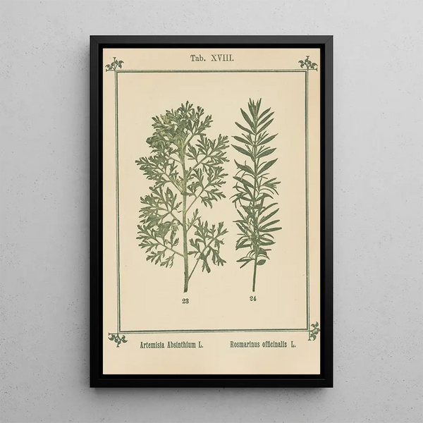Atlas des planten voor Ma cure d'eau Pl37 - Sebastian Kneipp — ingelijst kunstwerk aan de muur