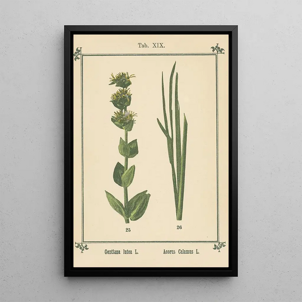 Atlas des planten voor Ma cure d'eau Pl38 - Sebastian Kneipp — ingelijst kunstwerk aan de muur
