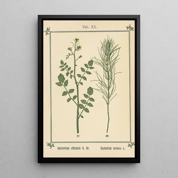Atlas des planten voor Ma cure d'eau Pl39 - Sebastian Kneipp — ingelijst kunstwerk aan de muur