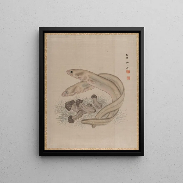 Seki Shk - Eels.webp