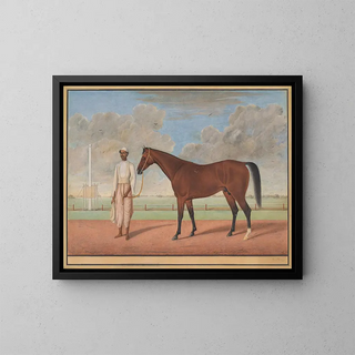 Shaykh Muhammad Amir of Karraya - A Bay Racehorse with a Groom.webp