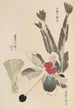 Unai no tomo Pl 029 - Shimizu Seifu — artwork view
