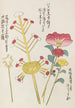Unai no tomo Pl 104 - Shimizu Seifu — artwork view