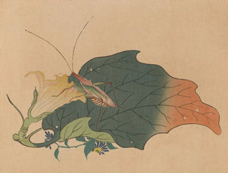 Shunkei Mori - Chuka senzen Pl08.webp