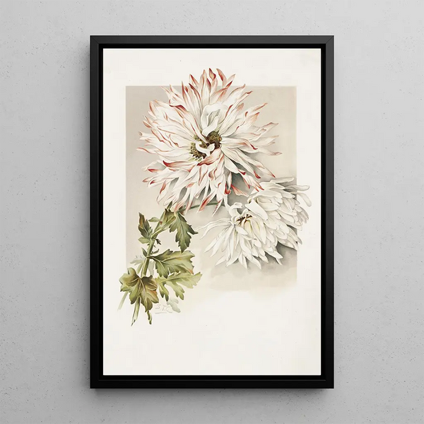 Chrysanthèmes - Sidney Thomas Callowhill — ingelijst kunstwerk aan de muur