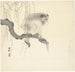 Singe op een tak - Ohara Koson — weergave van het kunstwerk