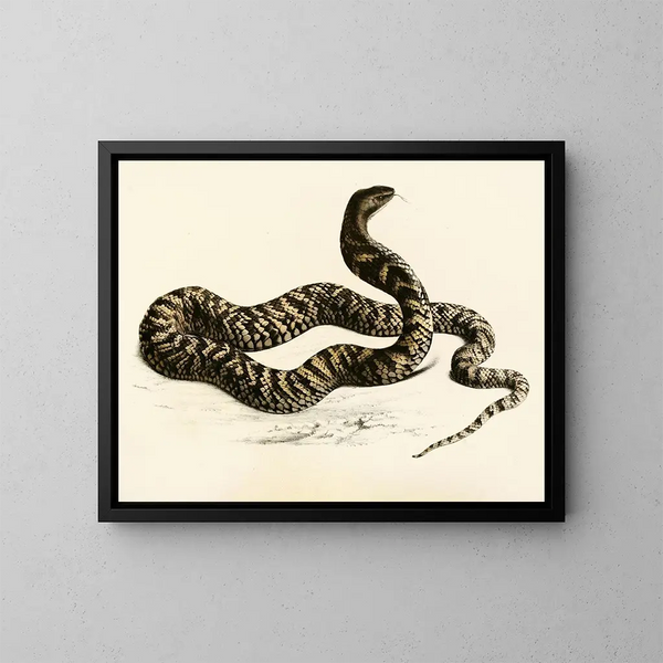 Naja haematochetes - Sir Andrew Smith — framed artwork on a wall