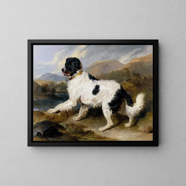 Lion, a Newfoundland dog - Sir Edwin Henry Landseer — framed artwork on a wall