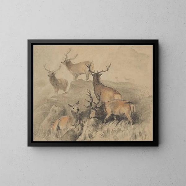 Certains des plus beaux cerfs de la forêt - Sir Edwin Henry Landseer — framed artwork on a wall