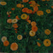 Zonnebloemen - Koloman Moser — weergave van het kunstwerk