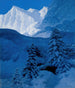 Winternest - Stanisław Witkiewicz — weergave van het kunstwerk