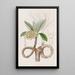 Edgeworthia dorée - Sydenham Edwards — ingelijst kunstwerk aan de muur