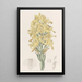 Chloraea à nervures vertes - Sydenham Edwards — ingelijst kunstwerk aan de muur