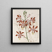 van Variété à grandes fleurs du Trompette Schomburgkia - Sydenham Edwards — ingelijst kunstwerk aan de muur