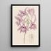 Laelia à longues tiges - Sydenham Edwards — ingelijst kunstwerk aan de muur