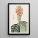 Aphelandra orange - Sydenham Edwards — ingelijst kunstwerk aan de muur