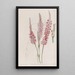 Polygonum à tige embrassante - Sydenham Edwards — framed artwork on a wall