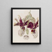 Stanhopea à Fleurs Tigrées - Sydenham Edwards — ingelijst kunstwerk aan de muur