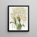van Oncidium met driehoekige lippen - Sydenham Edwards — ingelijst kunstwerk aan de muur
