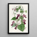 RedCloak climbing - Sydenham Edwards — framed artwork on a wall