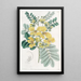 Cassia with Two Flowers - Sydenham Edwards — framed artwork on a wall