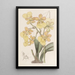 Oncidium painting with two warts - Sydenham Edwards — framed artwork on a wall