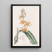 Yolkofegg Epidendrum - Sydenham Edwards — ingelijst kunstwerk aan de muur