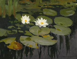 Teodor Ziomek - Water lilies.webp