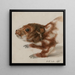 Head of a cuscus - Floris Verster — framed artwork on a wall