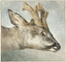 Hertenhoofd - Wybrand Hendriks — weergave van het kunstwerk