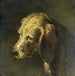 Hondenkop - Nicolas Toussaint Charlet — weergave van het kunstwerk