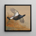 Tetra in vlucht - Archibald Thorburn — ingelijst kunstwerk aan de muur