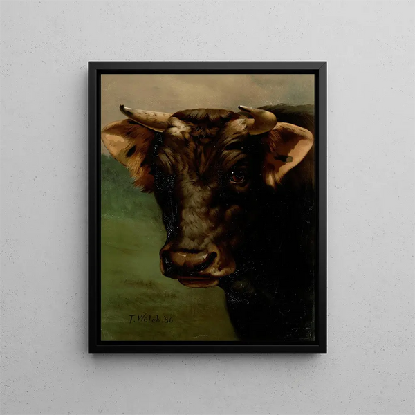 Thaddeus Welch - Bulls head.webp