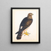 met een portret van een buizerd Sint-Martinus - De Reverent Christopher Atkinson — ingelijst kunstwerk aan de muur