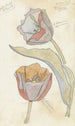 Tulpen - Theo Colenbrander — weergave van het kunstwerk