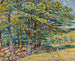 Eikenbomen - Theo Von Brockhusen — weergave van het kunstwerk