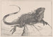 Lézard sur une pierre dans l'eau - Theo van Hoytema — weergave van het kunstwerk