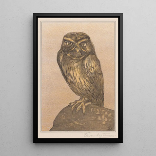 Theo van Hoytema - Steenuil op rots.webp