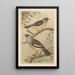 Two Birds on Branches - Theo van Hoytema — framed artwork on a wall