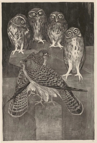 Theo van Hoytema - Vier steenuilen en twee torenvalken.webp