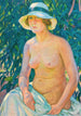 Nu au Panama - Theo van Rysselberghe — weergave van het kunstwerk