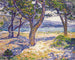 De Middellandse Zee in Le Lavandou - Theo van Rysselberghe — weergave van het kunstwerk