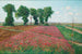 Het grote veld van esparcette in Znaim IV - Theodor von Hermann — weergave van het kunstwerk