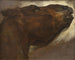 Studie van een dode paard - Théodore Géricault — weergave van het kunstwerk