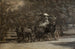 Het Vier-in-een-rij van Fairman Rogers, een ochtend in mei in het park - Thomas Eakins — weergave van het kunstwerk