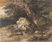 Een bosvijver met rotsen en planten - Thomas Gainsborough — weergave van het kunstwerk