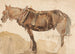 Een aangespannen paard van dichtbij gezien - Thomas Sidney Cooper — weergave van het kunstwerk