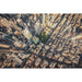 Fotoprint van New York - De Big Apple zoals u hem nog nooit hebt gezien