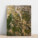 Landschapsfotoprint - Groene Slangen
